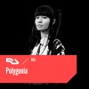 RA.955 Polygonia DJ mix artwork - Electronic music tracklist cover image