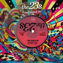 The 23s - I Just Can't Seem To See