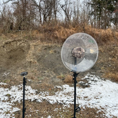 12:25 roland r26 @100y 11.5" 556 unsupressed x2 Lazarus 6 x4 Noah x4