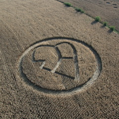 A.Kut