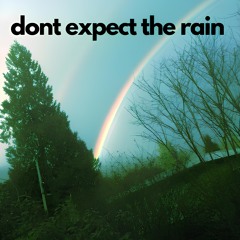 Don't Expect The Rain