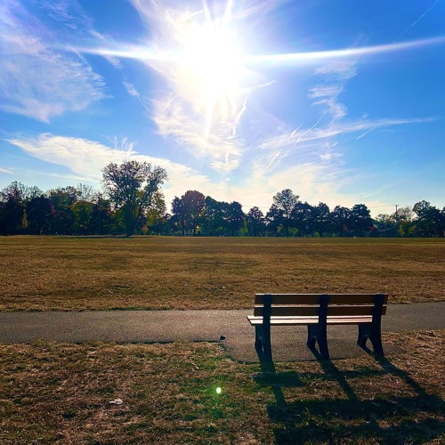 YO LOOK, IT'S THE BENCH, AYYY!!!! (Part I)