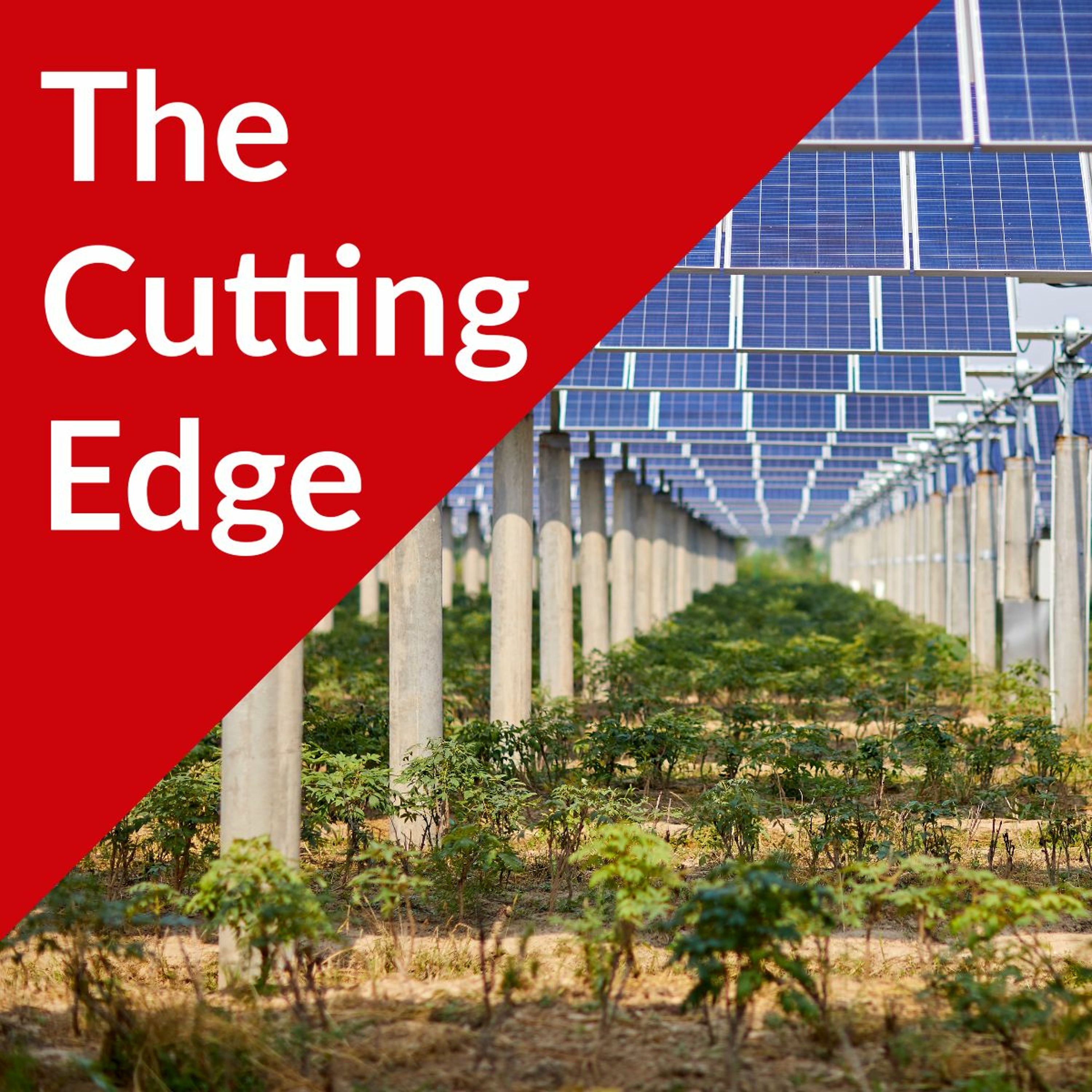 The Cutting Edge Podcast