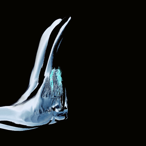 PION