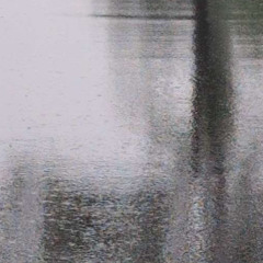 In The Rain (Prod. purls)