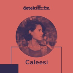Plattenkoffer: Caleesi