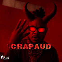 BIX6 B13 - Crapaud