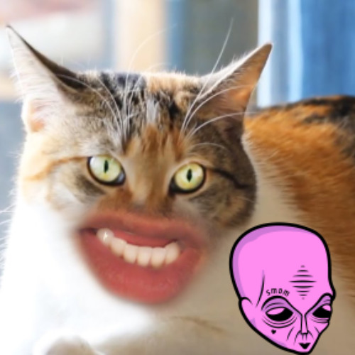 Meow meow, poi degenera yuri veronesi Mashup