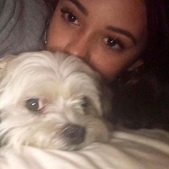 письмо которое не отправил