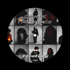 Fleeting - 1sec Novelist