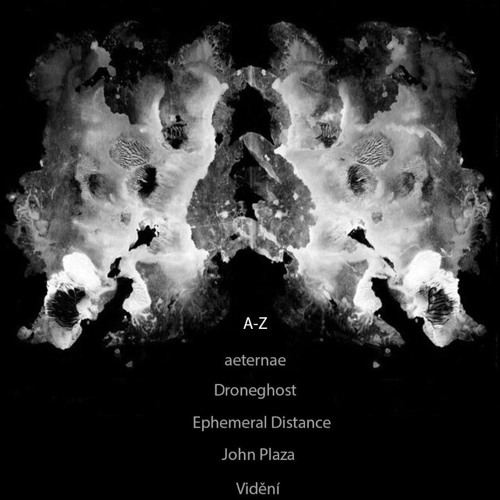 Vidění x Substrate 16.01.2025