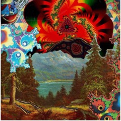 Tom Dee - Masala land 2024