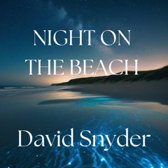 NIGHT ON THE BEACH