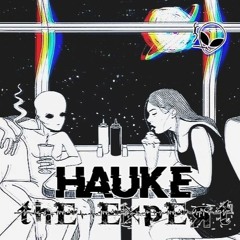 Hauke - The Expert