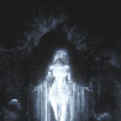 stardust