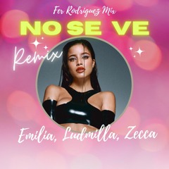 No Se Ve - Emilia, Ludmilla, Zecca (Remix) Fer Rodriguez Mix