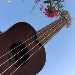 Persigue_Disfruta! 🌹 Pursue Him and know Him! 🌺 Costa Rica 🌸