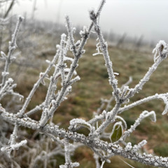 #QUALITYVALUES REP THAT (dimitrious)