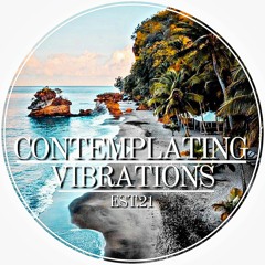 Contemplating Vibrations [#07] Paranoid SouL