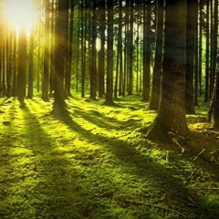 ماما عبله💔