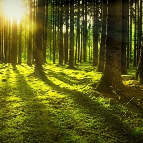 ماما عبله💔