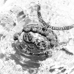 Noge & Damna - SHELL A JUKE [NOGE VIP EDIT]