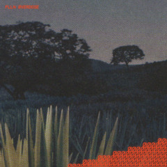 FLLN - 0VERDOSE