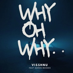 Visshnu - Why Oh Why feat Aaron