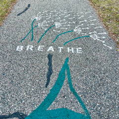 What We Needed All Along