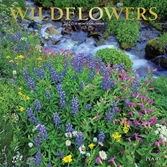 [FREE] KINDLE ☑️ Wildflowers 2020 12 x 12 Inch Monthly Square Wall Calendar with Foil
