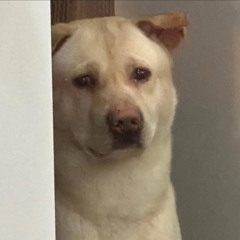 Tự Dưng Thành Người Lạ - Quốc Thiên | Ca Sĩ Giấu Mặt Cover