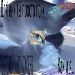 Занозы