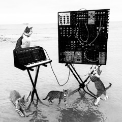 slotkakotka’s 123 | 20 of August | █▬█ █ ▀█▀