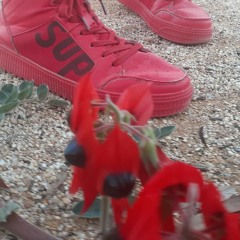 Chase Da money