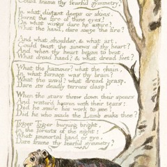 378 The Tyger by William Blake