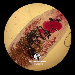 SYN Premiere: Alessandro (COL) - Shytake [SYEP029]