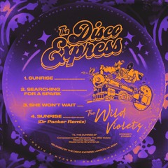 PREMIERE: The Wild Violets - Sunrise (Dr Packer Remix) [The Disco Express]