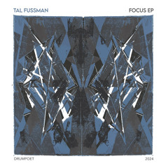 PREMIERE: Tal Fussman - It's Alright (Original Mix) [Drumpoet Community]