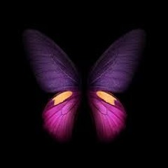 Flutter Of Butterfly Wings