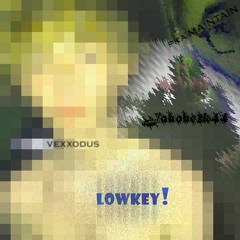 lowkey! ft. vexxodus, pka MAINTAIN [+curtains]
