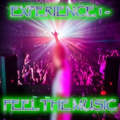 EXPERIENCE 1-FEEL THE MUSIC-