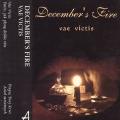 December's Fire - Vae Victis