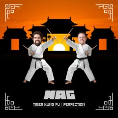 Tiger Kung Fu