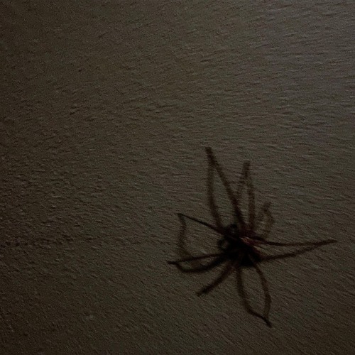 glizzxen - spam calling my plug (prod indraprbl)