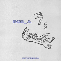 nsl: ROD_A