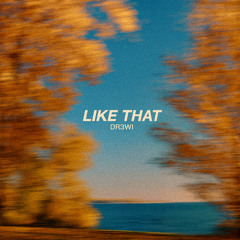 DR3WI - Like That