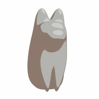 夜行列車by 錯誤 Sakugo