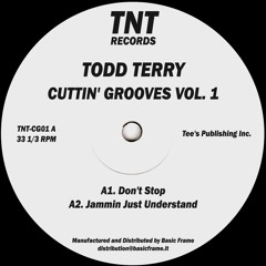 TNT-CG01 / Todd Terry - Cuttin' Grooves Vol.1