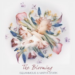 The Blooming (Equanimous & Marya Stark)