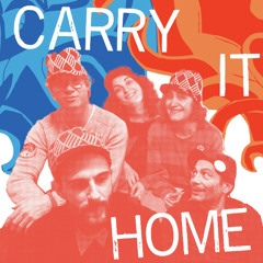 Carry It Home (Tom Vernon Remix)